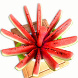 Outil à couper Pastèque et Melon en acier inoxydable 410